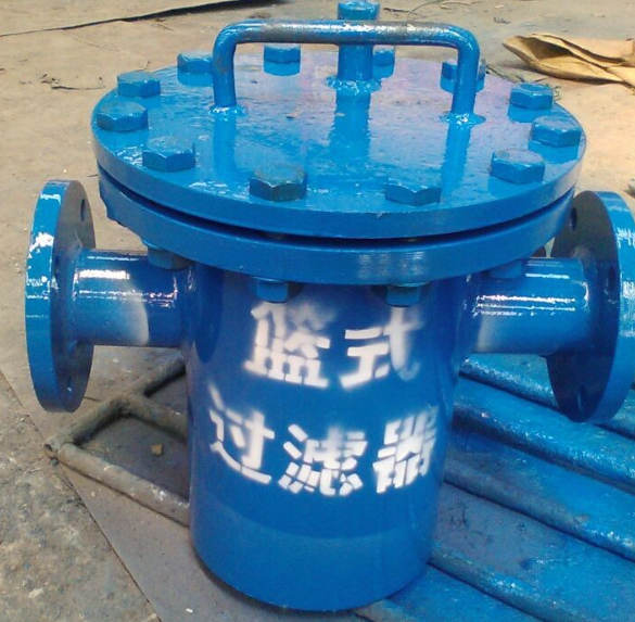 蓝式管道过滤器